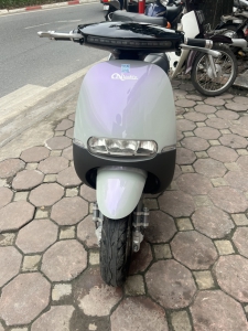 Xe điện gogo màu hotrend 2024